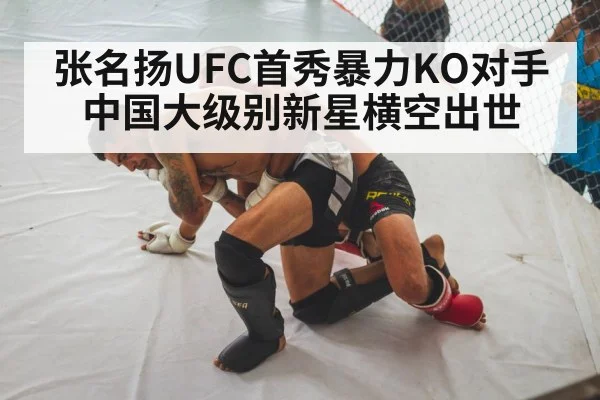 张名扬UFC首秀暴力KO对手 中国大级别新星横空出世
