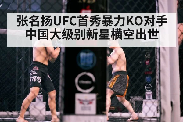 Chinese MMA athlete